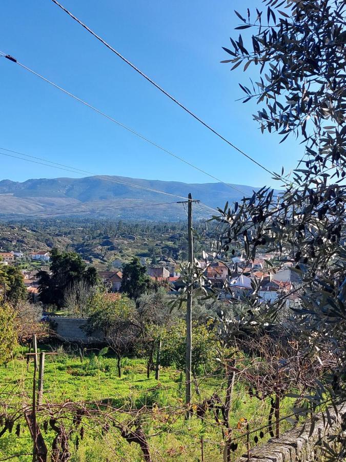 Appartamento Casa Das Cortes - Serra Da Estrela Gouveia  Esterno foto