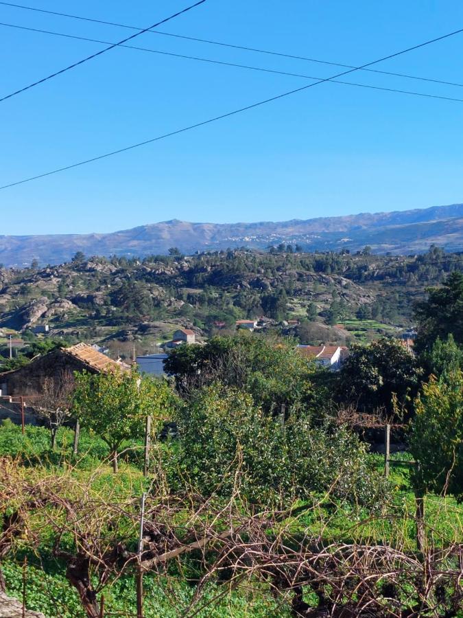 Appartamento Casa Das Cortes - Serra Da Estrela Gouveia  Esterno foto