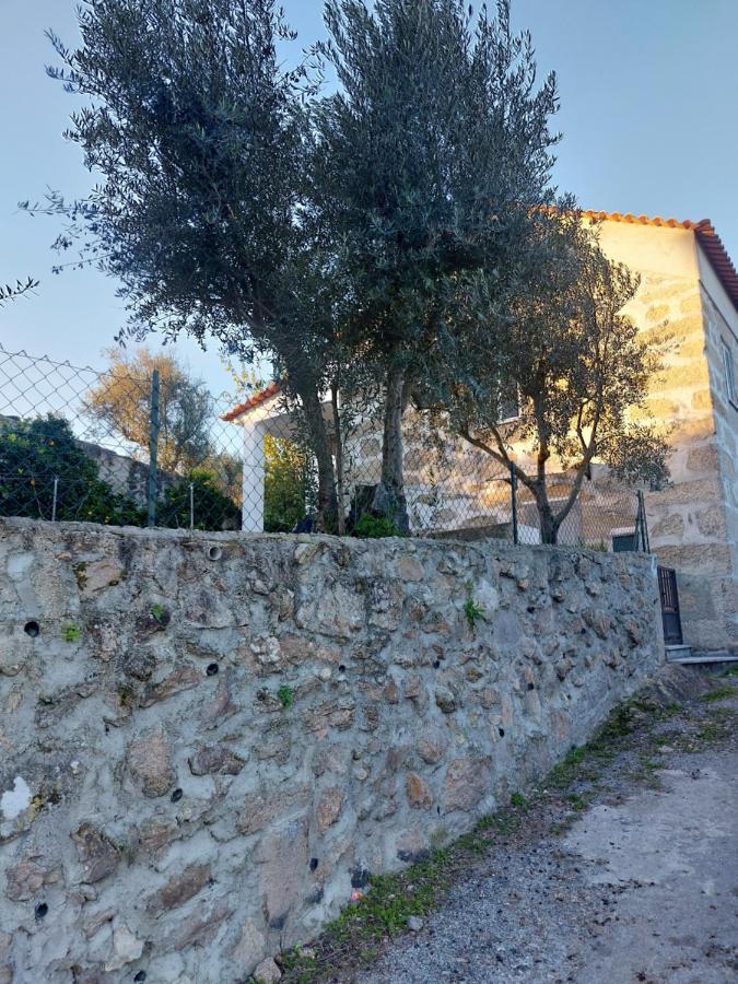 Appartamento Casa Das Cortes - Serra Da Estrela Gouveia  Esterno foto